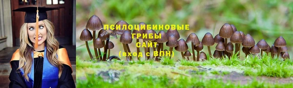 альфа пвп Краснослободск